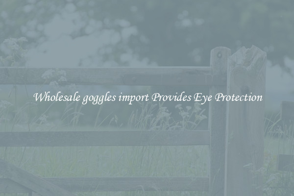 Wholesale goggles import Provides Eye Protection