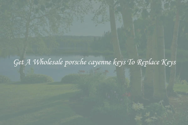 Get A Wholesale porsche cayenne keys To Replace Keys