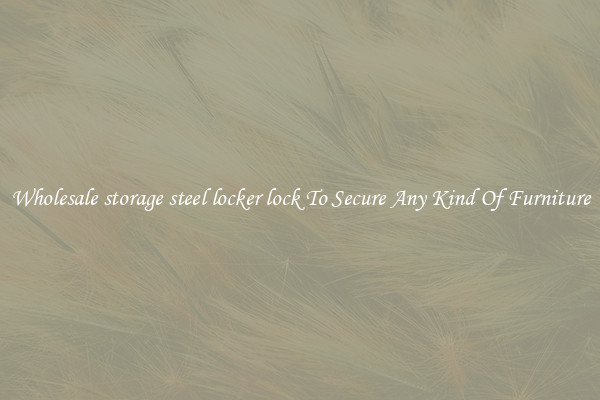 Wholesale storage steel locker lock To Secure Any Kind Of Furniture