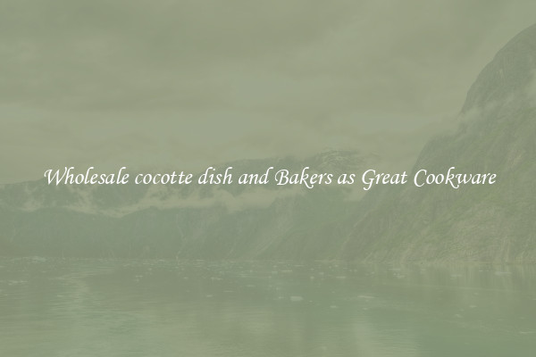 Wholesale cocotte dish and Bakers as Great Cookware