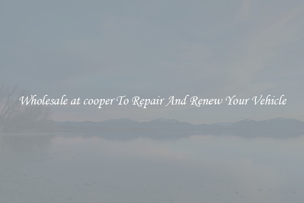 Wholesale at cooper To Repair And Renew Your Vehicle