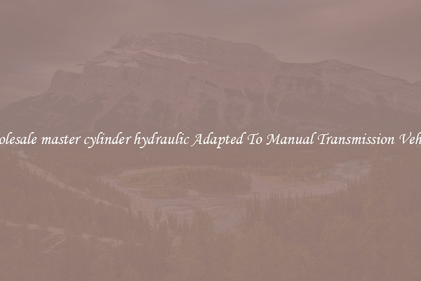 Wholesale master cylinder hydraulic Adapted To Manual Transmission Vehicles