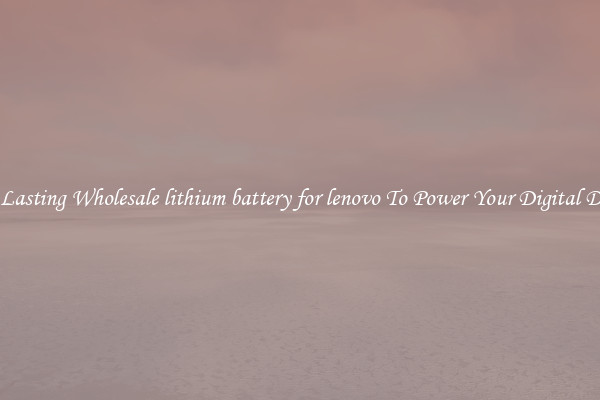 Long Lasting Wholesale lithium battery for lenovo To Power Your Digital Devices