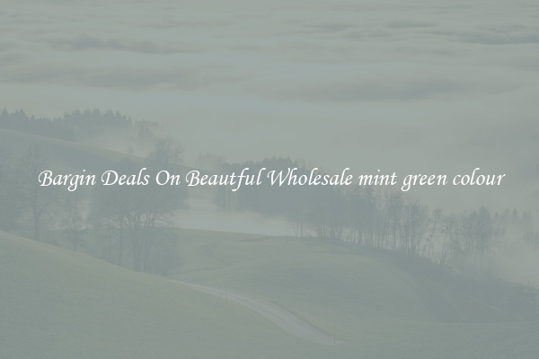 Bargin Deals On Beautful Wholesale mint green colour