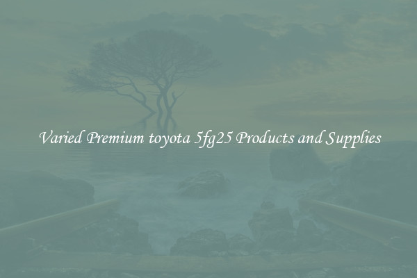 Varied Premium toyota 5fg25 Products and Supplies
