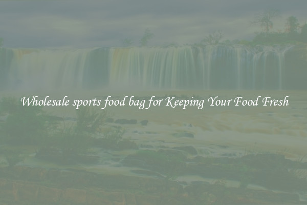 Wholesale sports food bag for Keeping Your Food Fresh