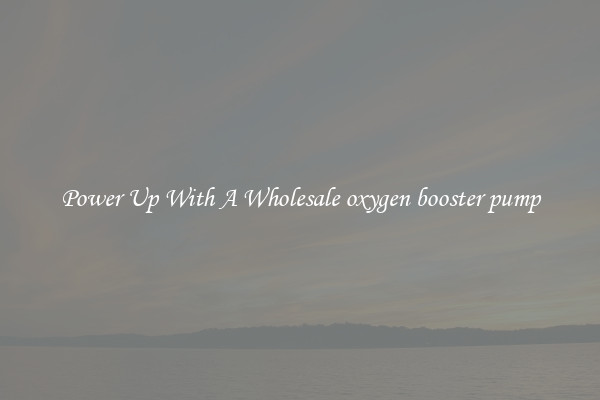 Power Up With A Wholesale oxygen booster pump