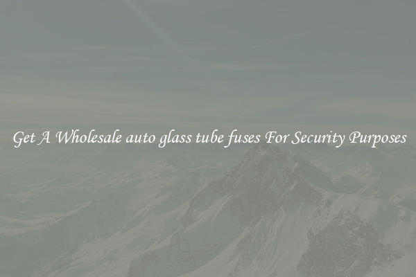 Get A Wholesale auto glass tube fuses For Security Purposes