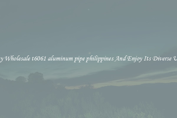 Buy Wholesale t6061 aluminum pipe philippines And Enjoy Its Diverse Uses