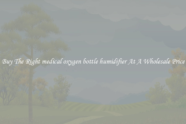 Buy The Right medical oxygen bottle humidifier At A Wholesale Price
