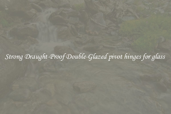 Strong Draught-Proof Double-Glazed pivot hinges for glass 