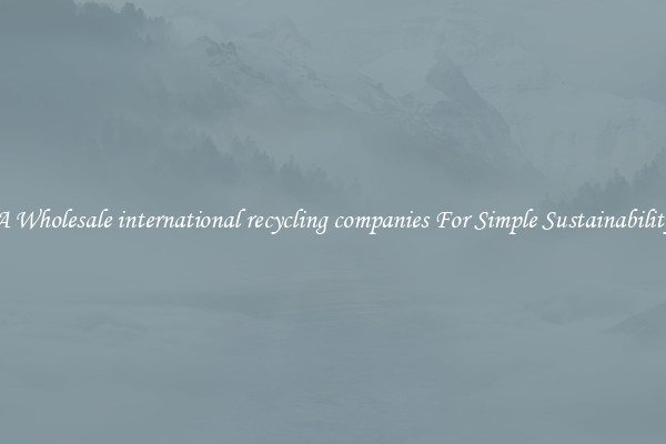  A Wholesale international recycling companies For Simple Sustainability 