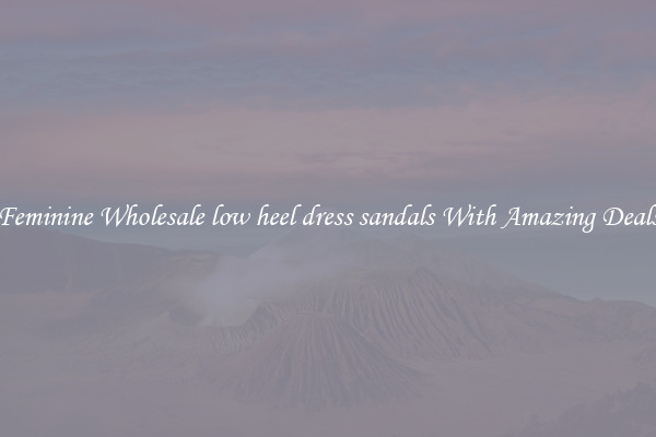 Feminine Wholesale low heel dress sandals With Amazing Deals
